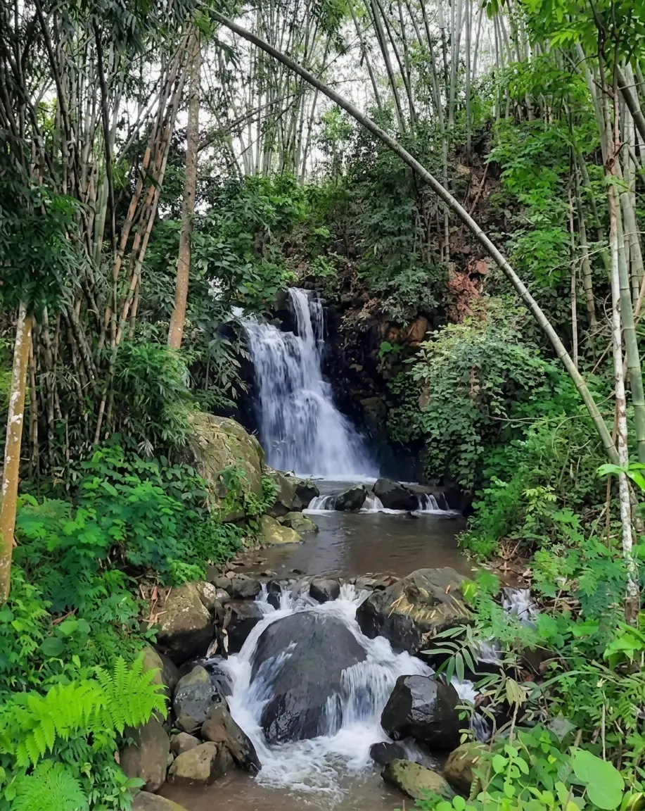 Pariwisata
